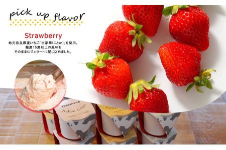  mamma カップジェラート 詰め合わせ 8個セット | ジェラート 奈良県 平群町