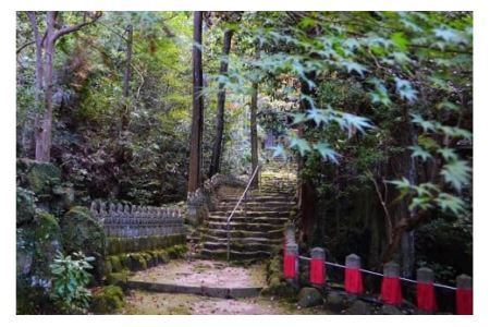 お寺に泊まってみませんか？「 千光寺 」 宿坊 体験 ( お1人様用 ) | 千光寺 宿泊 修行 奈良県 平群町