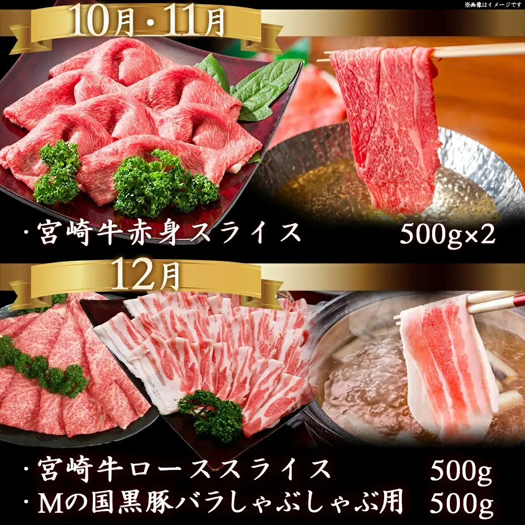 迷ったらコレ!宮崎牛食べ尽くし定期便(10ヵ月)〔T120（10）-0101〕_(都城市)A5 5等級 牛肉 バラ 赤身 サーロインステーキ ヒレステーキ ロース 焼き肉 しゃぶしゃぶ すき焼き スライス 切り落とし