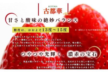 平群 の 古都華 いちご 4L or 5L サイズ（1種×2パック）苺屋小東 | フルーツ いちご 古都華 先行予約 奈良県 平群町