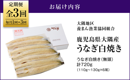 2081-1 鹿児島県 大隅産 うなぎ 白焼き 6尾 計720g【 3ヶ月 定期 】 KN007-T03 魚 冷凍 鰻