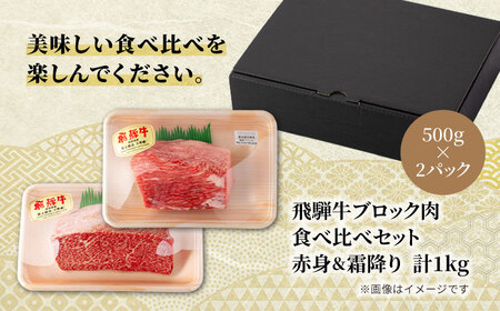 飛騨牛ブロック肉 飛騨牛食べ比べセット（赤身＆霜降り）計1kg【マルゴー】[MBE051]