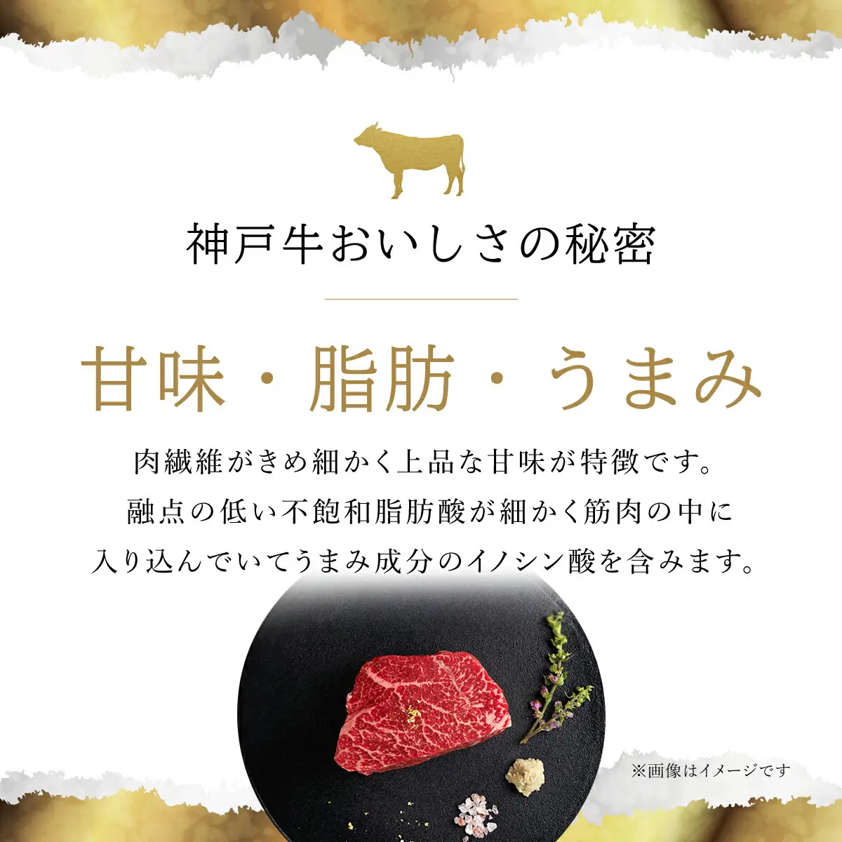 【和牛セレブ】神戸牛 定期便「ファーストクラス」（定期便６回） AS33O4