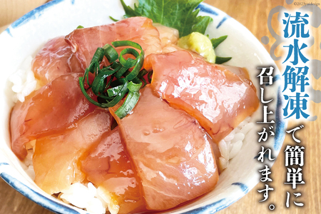 訳あり びんちょうまぐろブロック（刺身用）びんちょうまぐろ漬け セット [阿部長商店 宮城県 気仙沼市 20564779]