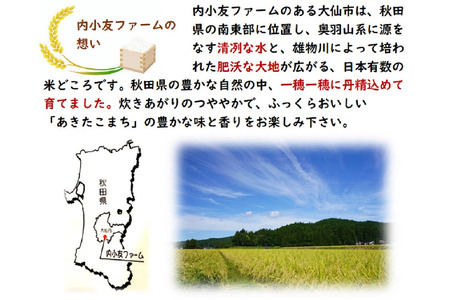 米 令和7年産 秋田県産あきたこまち 一等米 農家直送 無洗米5kg 内小友ファーム