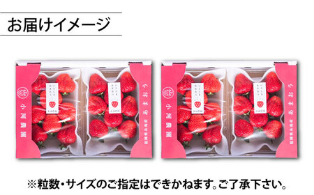 【先行受付】糸島産 完熟あまおう 280g×4パック (デラックスサイズ)【2027年1月以降順次発送】糸島市 / 小河農園 いちご フルーツ 果物 [AJN002]