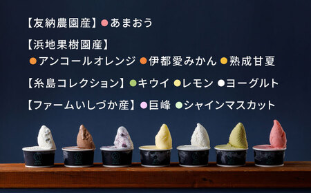 糸島 フルーツ 生ジェラート 9個セット 糸島市 / COCO GELATO [AON001]