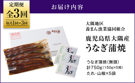 2082-1 鹿児島県 大隅産 うなぎ 蒲焼 5尾（ 750g ）【 3ヶ月 定期 】 KN007-T04 魚 冷凍 鰻