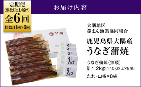 2083-1 鹿児島県 大隅産 うなぎ 蒲焼 8尾（ 1.2kg ）【 6ヶ月 定期 】 KN007-T05 魚 冷凍 鰻