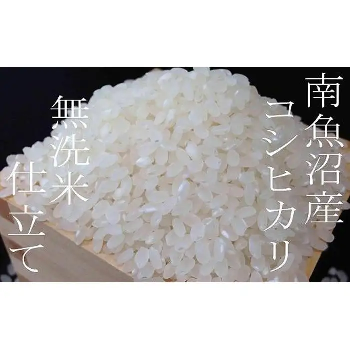 【令和7年産】【無洗米5Kg】吟精  南魚沼産コシヒカリ