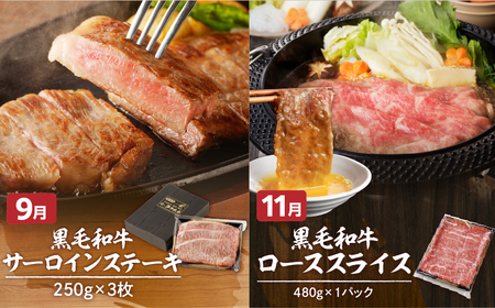 【全6回】「 肉のヨコムラ 」鹿児島県産 黒毛和牛 ・ 黒豚 定期便 （奇数月にお届け） K189-T01 肉 豚肉 牛肉 冷凍