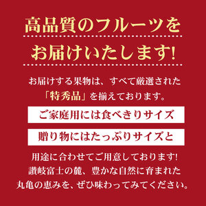 フルーツ定期便 12回 満足パック フルーツ いちご もも シャインマスカット 梨 みかん 柿