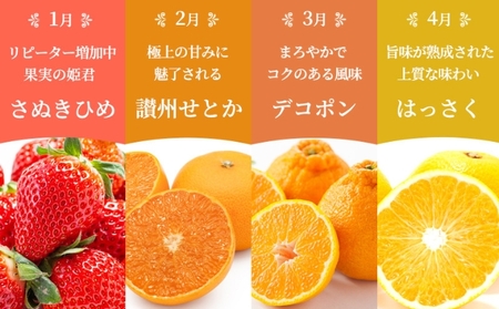 【百果繚乱】【定期便 12ヶ月】 果物定期便 果物定期便 フルーツ