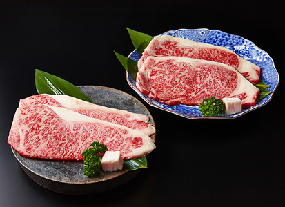 近江牛 食べつくし 定期便 6回 焼肉 すきしゃぶ ステーキ 【FO17W】 【 近江牛 】 牛肉