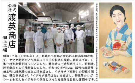 訳ありイタモチ（越後もち）2枚セット　創業明治17年　渡英商店　謹製 餅 お餅 おもち 
