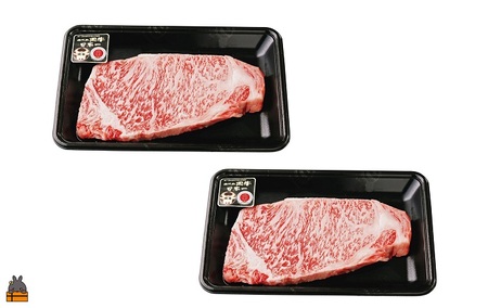 《和牛日本一獲得》5等級 これが!!鹿児島黒牛 王道のサーロインステーキ 400g（200g×2P） ( 5等級 黒牛 黒毛和牛 牛肉 鹿児島 日本一 全国和牛能力共進会 徳之島 奄美 鹿児島 ステーキ BBQ ディナー 肉汁 霜降り 美味しい オススメ プレミアム JA食肉かごしま )