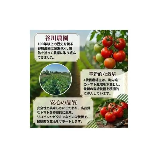 ＜3ヵ月毎定期便＞谷川農園の桃太郎トマトジュース＜180ml×12本＞全2回