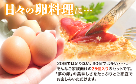 卵 たまご 6ヶ月 定期便 赤玉 夢の卵 ファミリー 50個 計300個《お申込み月翌月から出荷開始》株式会社めぐみ 岡山県 浅口市 送料無料 25個 × 2セット たっぷり 家族 食卓