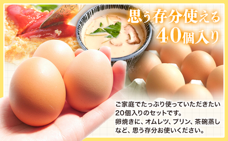 6ヶ月 定期便 卵 たまご 定期便 夢の卵 20個入り x 2セット L/LLサイズ《お申込み月翌月から出荷開始》株式会社めぐみ 岡山県 浅口市 送料無料 大容量 大箱 たっぷり Lサイズ LLサイズ