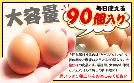 【６ヶ月定期便】卵 たまご 定期便 赤玉 夢の卵 90個《お申込み月翌月から出荷開始》株式会社めぐみ 岡山県 浅口市 送料無料 大容量 大箱 たっぷり 定期