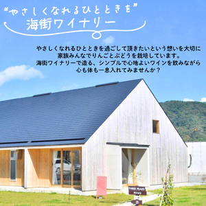 大船渡 ワイン メルロ 赤ワイン 辛口 750ml お酒 アルコール ぶどう 葡萄 岩手県 大船渡市