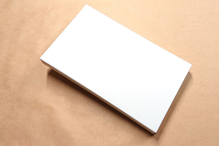 干物 丸干しいか 5～10枚 白化粧箱入り [西海水産 石川県 志賀町 AB4127]