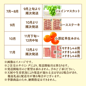 待望のプレミアムコラボ【8回】定期便CB