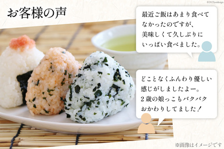 【期間限定発送】 米 令和7年 コシヒカリ 白米 900g(6合) [みどりの波 石川県 宝達志水町 38601231]