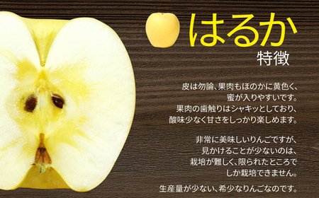 【2026年度先行予約】山形県産 りんご はるか 秀品 1kg FSY-0877