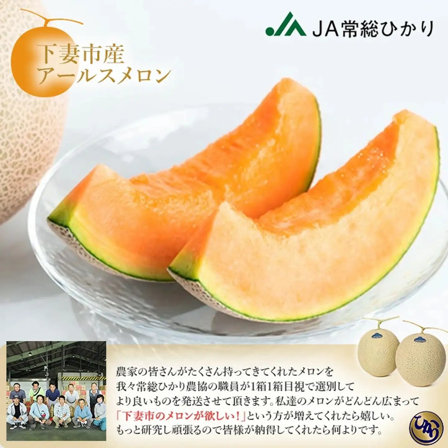 メロン 赤肉 茨城県産 R8年産 アールスメロン 秀品 1個
