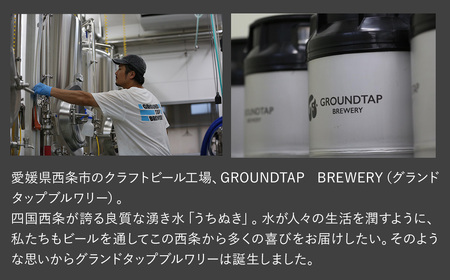 【6回定期便】クラフトビール6缶セット ※2ヶ月に1回偶数月発送【グランドタップブルワリー】