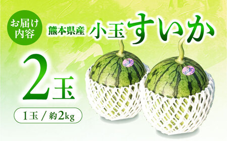 【先行予約】小玉すいか スイカ 2玉 令和8年産 ZCN005