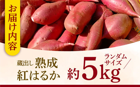 熟成紅はるか約5kg サイズバラバラ さつまいも密芋サツマイモ ZCN017