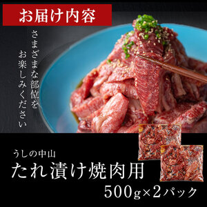 【数量限定】鹿児島県産黒毛和牛 うしの中山 タレ漬け焼肉用 計1kg(500g×2P) 黒毛和牛 和牛 肉 牛肉 国産 九州産 鹿児島県産 焼肉 BBQ 味付け肉 たれ漬け 日本一 c0-123