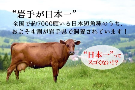 『極・塩ハンバーグ前沢牛100％』140ｇ×4個と『短角牛ハンバーグ』150ｇ×4個ビーフ100％ハンバーグの食べ比べセット　計8個/肉 高級 牛 牛肉 和牛 前沢牛 奥州 ブランド牛 短角牛 国産牛 塩 岩塩 個包装  冷凍 小分け 肉肉 バーベキュー アミノ酸 イノシン酸 おすすめ おかず 夕食 お弁当 ランチ はんばーぐ 夕飯 お祝い 父の日 母の日 送料無料 プレゼント ギフト 贈答 おすすめ
