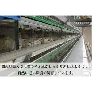 純国産鶏 卵 定期便【さくら】純たまご30個入り 破損保証5個を含む【3ヶ月連続お届け】 (AJ028)  国産 たまご 産地直送 飼料にこだわった 玉子  鶏卵