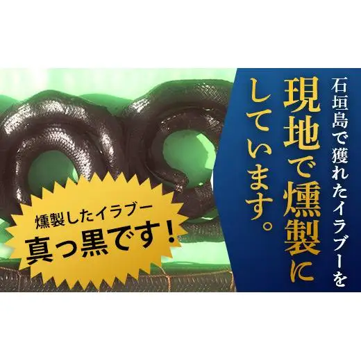 石垣島産「イラブー(海ヘビ)」粉末 120粒入り袋　健康補助食品・約1ヶ月分　SI-35