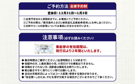 錦江湾 クルーズ 乗船券 プライベートクルーズ （ 2時間 ） K240-001