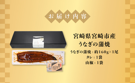 うなぎ 蒲焼 うなぎ[国産 1尾 160g]