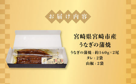 うなぎ 蒲焼 うなぎ[国産 2尾 320g]