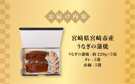 うなぎ 蒲焼 うなぎ[国産 5尾 1.1kg]