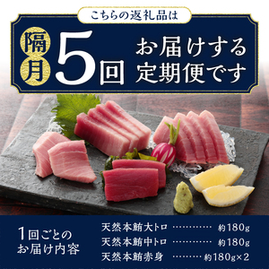 b200-037　【定期便】 天然本まぐろセット 5回隔月で届け