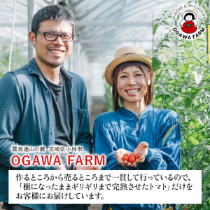 まるごとトマトギフト（OGAWA　FARM）