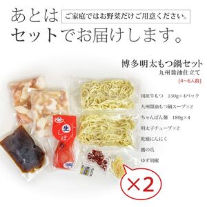 博多明太醤油もつ鍋セット（4～6人前） 