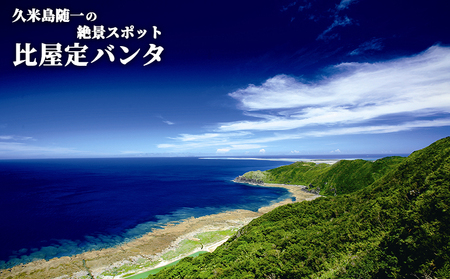 【久米島町】しろくまツアーで利用可能 WEB旅行クーポン(60万円分）