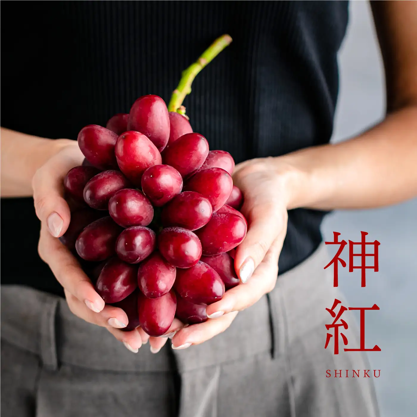 【先行予約】島根県限定！幻のぶどう“神紅(しんく)” 糖度20度以上！1房（450g以上）