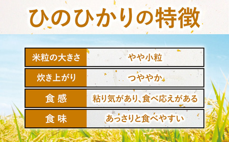 【6ヶ月定期便】ありがとう園の無洗米 5kg
