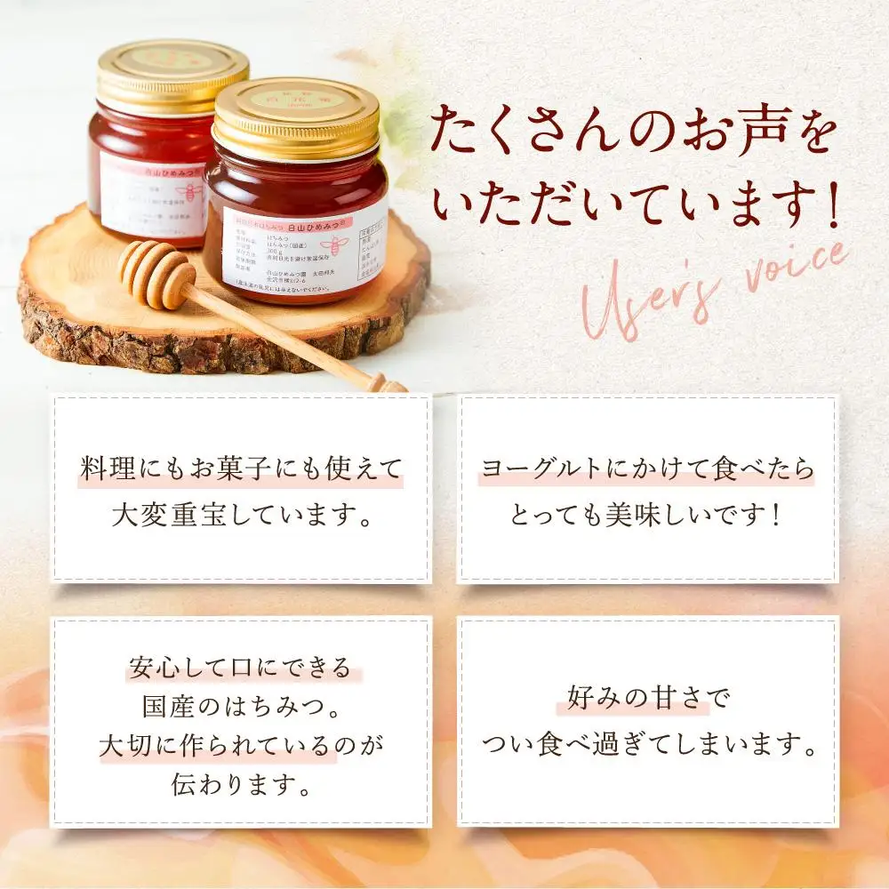 幻の日本ミツバチからの贈り物　純粋はちみつ300ｇ×2瓶　白山ひめみつ