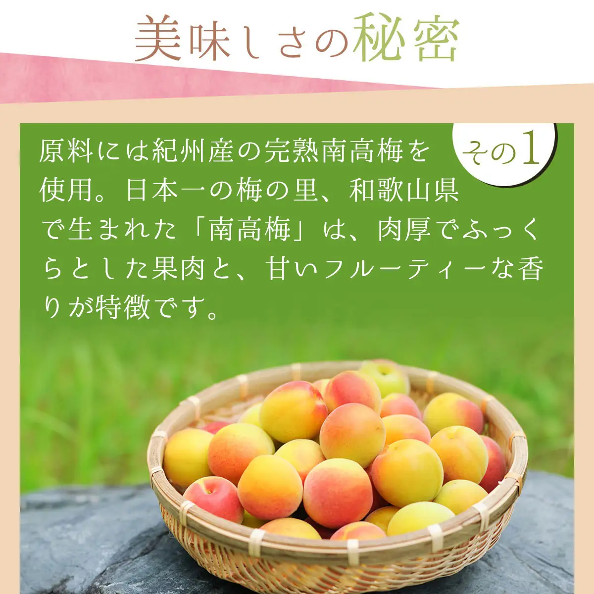 紀州産南高梅 梅干し しらら 1kg  減塩 梅干 塩分5% 中田食品