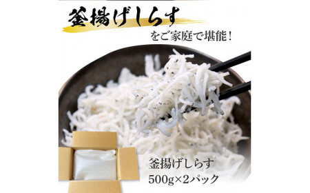 高知県産釜揚げしらす500g×2パック 